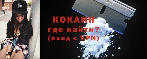 амф Богданович