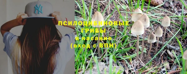 MESCALINE Богородицк
