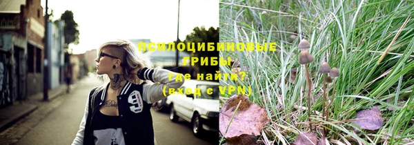 таблы Богородск