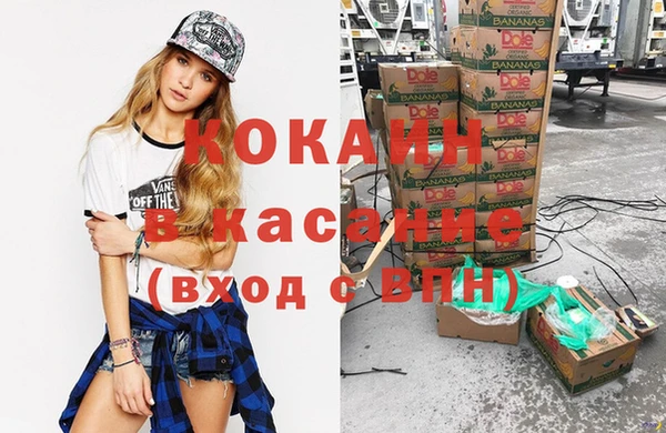 амф Богданович