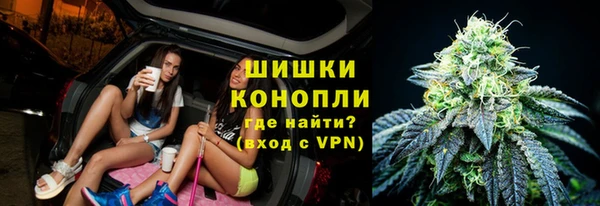 амф Богданович