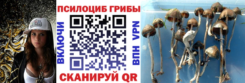 Галлюциногенные грибы Magic Shrooms  Жуковский 